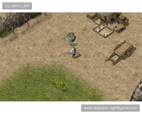 老鹰队崛起之路：从联盟边缘到季后赛强队的传奇历程